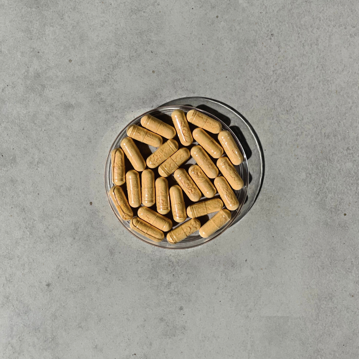 Coenzima Q10 100mg - 60 cápsulas
